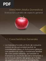 MANZANA (Mallus Domestica)