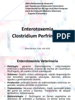 Entoretoxemia, Clostridium Perfringens