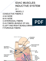 Physiology - Cardivascular Sys. (C'TD)