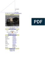 Sea Otter: Sea Otters Navigation Search Marine Otter Sea Otter (Disambiguation)