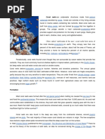 The Structure and Distribution of Coral Reefs