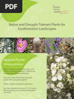 Native and Drought-Tolerant Plants For Southwestern Landscapes