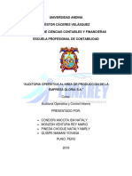 Auditoria Operativa Informe