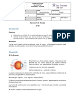 Informe de Laboratorio EL OJO 