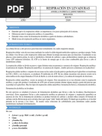 Laboratorio Respiración en Levaduras