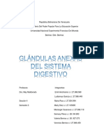 Glándulas Anexas Del Sistema Digestivo