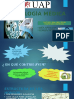 Micologia Medica de Enfermeria