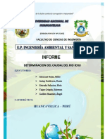 Informe 01