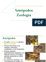 Artropodos Clase PDF