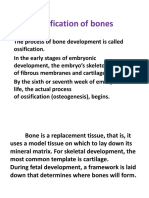 Bones Ossification