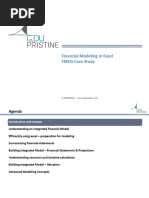 Financial Modeling in Excel FMCG Case Study