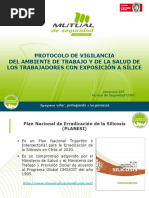 Presentación Protocolo Vigilancia de Sílice V3 Nov 2015