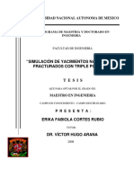 Simulación de Yacimientos Naturalmente Fracturados Con Triple Porosidad T e S I S Erika Fabiola Cortes Rubio Dr. Víctor Hugo Arana PDF