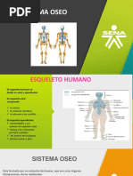 Sistema Oseo