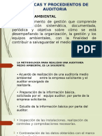 Técnicas y Procedimientos de Auditoria Del Medio Ambientes