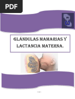 Guía de Endocrino, Glándula Mamaria y Lactancia Materna 