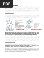 Animal Echinodermata Game