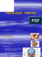 Orbita+aparat Lacrimal+pleoape