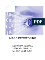 Image Processing: Mentor: Saqib Azim