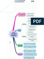 86 Mapa Mental Plantas Vasculares Con Semilla Parte 2