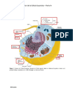 Interior de La Célula Eucariota - Parte A