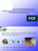 Biorremediacion