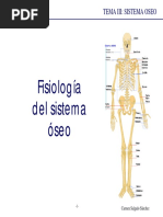 Fisiologia Tema 3 Oseo