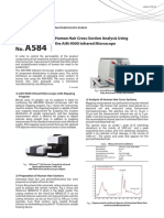 Human Hair Analysis