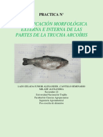 PRACTICA de Pescado