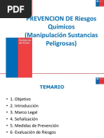 Riesgos Quimicos