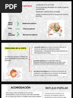 Diapositivas-Fisiologia de Los Sentidos