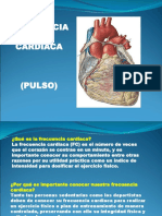 Frecuencia Cardiaca Pulso