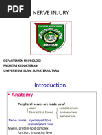 Nerve Injury: Departemen Neurologi Fakultas Kedokteran Universitas Islam Sumatera Utara