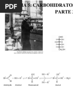 Carbohidratos