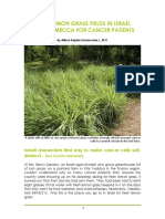 Lemongrass For Cancer Patients