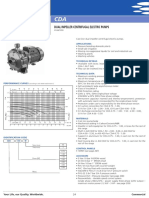 Dual Impeller Centrifugal Electric Pumps: in Cast Iron