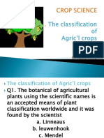 CROP SCIENCE-PPT-classification of Agricultural Crops13