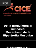 De La Bioquímica Al Gimnasio OFW