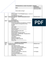 Programa de Organización de La Iglesia