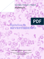 A Epitelio Revestimiento PDF