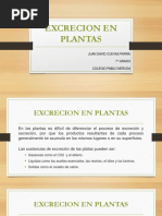 Excrecionenplantas 170305160653 PDF