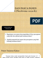 Panen Dan Pasca Panen Kakao (Theobroma Cacao