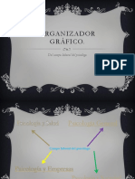 Organizador Gráfico