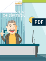 Areas Básicas de Gestión PDF