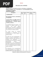 Programas de Auditoria