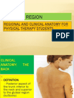 The Back Region: Regional and Clinical Anatomy For Physical Therapy Students