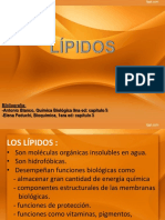 LIPIDOS