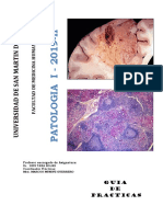 Guia Practica Patología I 2019-Ii