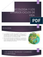 La Ecologia y Los Diversos Ciclos de Vida