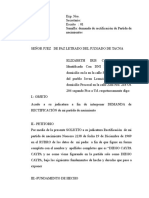 Demanda de Rectificacion de Partida